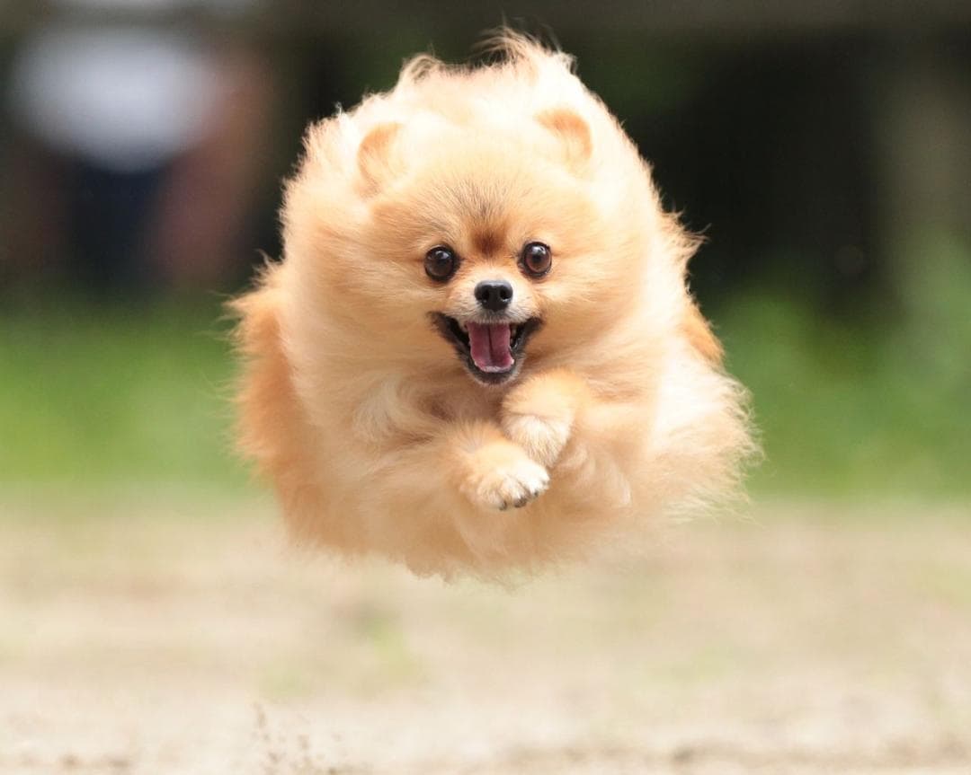 化粧水・ローション・トナー aya