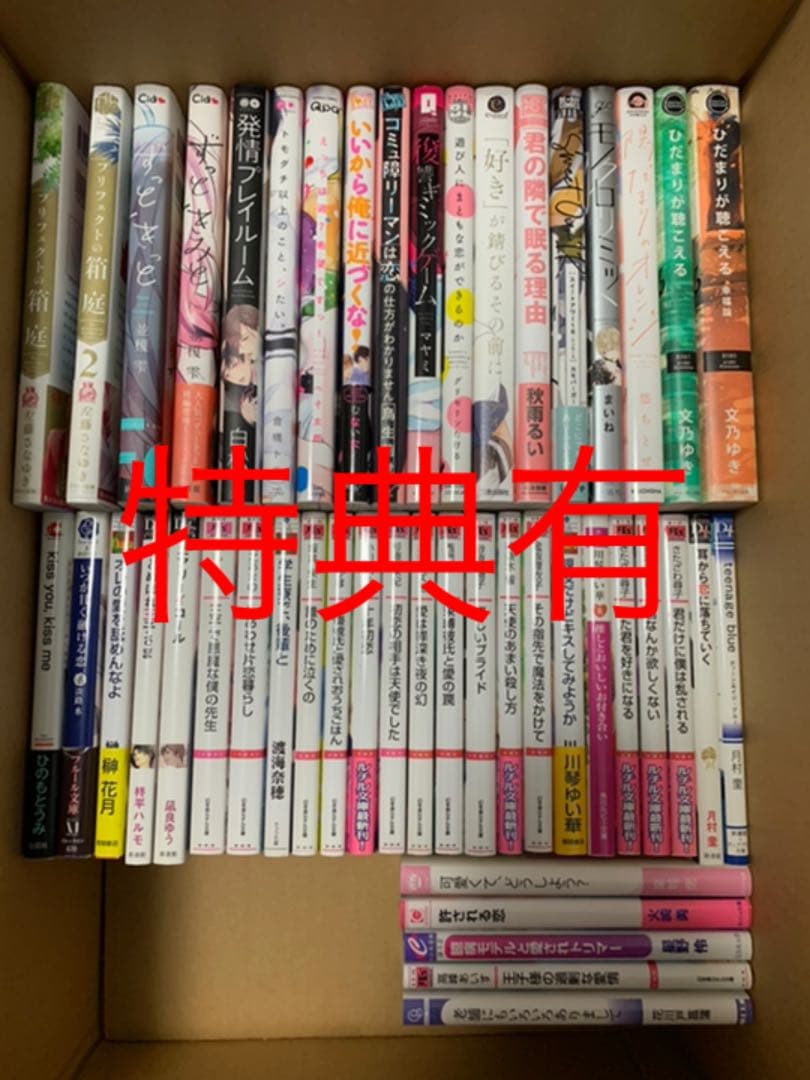 BL漫画　BL小説　まとめ売り