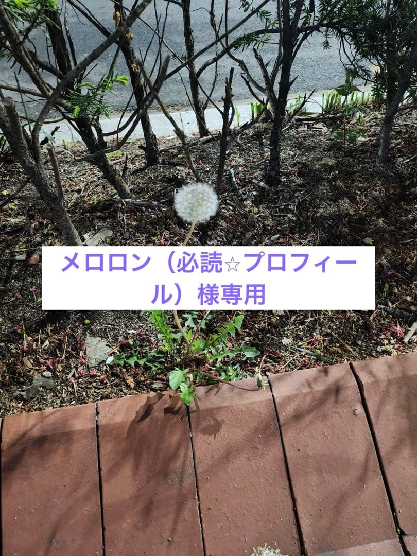 メロロン（必読⭐︎プロフィール）